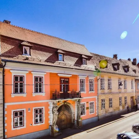 Ivy * Sibiu