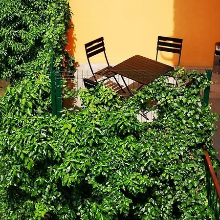 Ivy Sibiu
